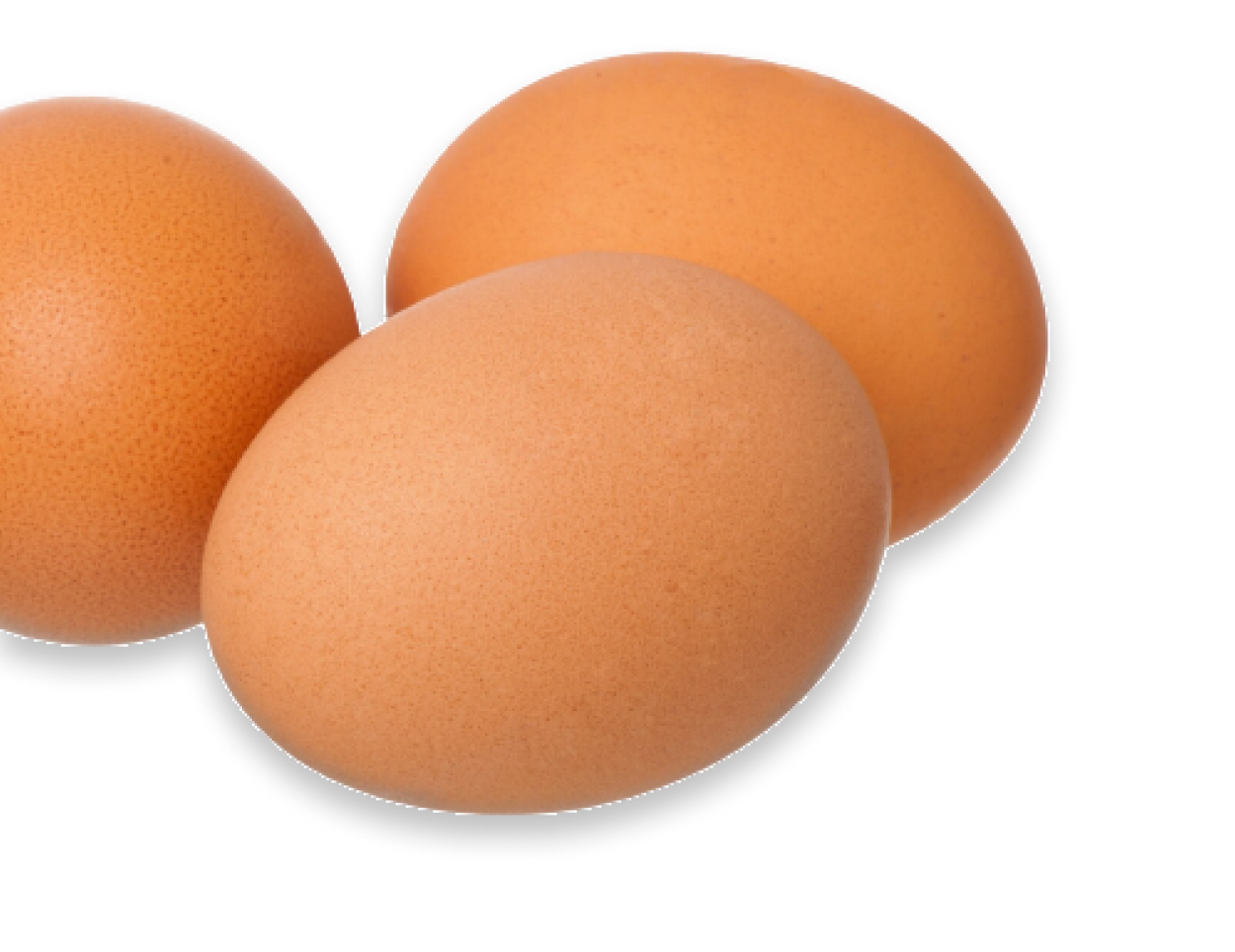 brown eggs